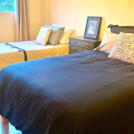 Amazing Cozy Apartment In Condesa Mexico City Luaran gambar