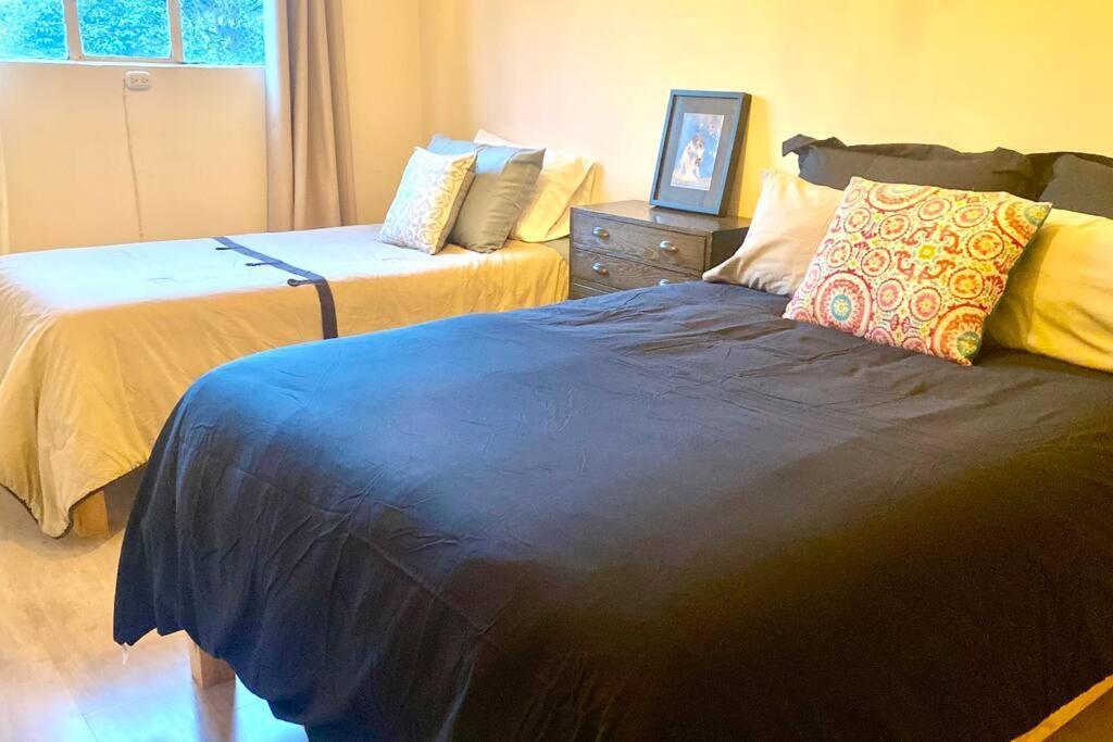 Amazing Cozy Apartment In Condesa Mexico City Luaran gambar